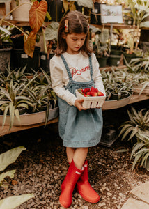 Rustic Raspberries Embroidered Clips