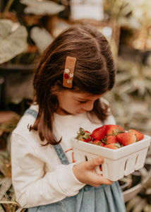 Rustic Raspberries Embroidered Clips